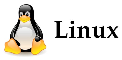 Biografi Linus Torvalds, Kisah Pencipta Linux Sistem Operasi Komputer Terbaik