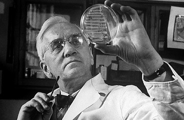 Biografi Alexander Fleming