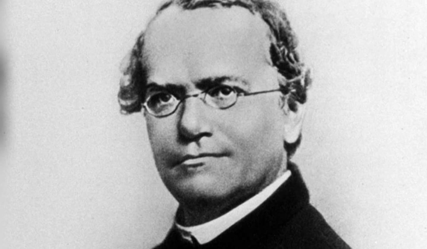 Gregor Mendel: Bapak Ilmu Genetika yang Mengubah Dunia