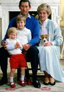 Biografi Putri Diana - Sang Putri Kerajaan Inggris