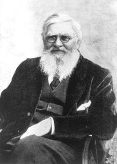 Biografi Alfred Russel Wallace, Sang Pencetus Teori Seleksi Alam