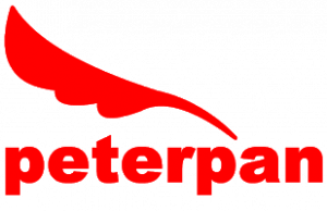 Biografi Peterpan – Band Indonesia