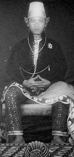Biografi Sri Sultan Hamengkubuwono IX