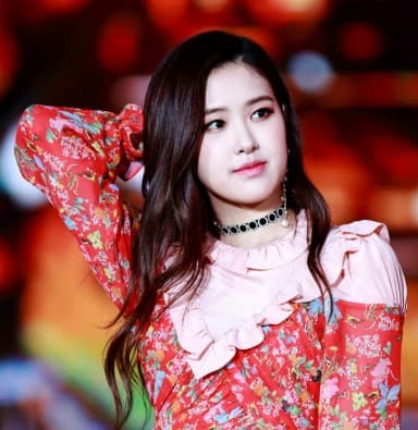 Biografi dan Profil Rose Blackpink Serta Biodata